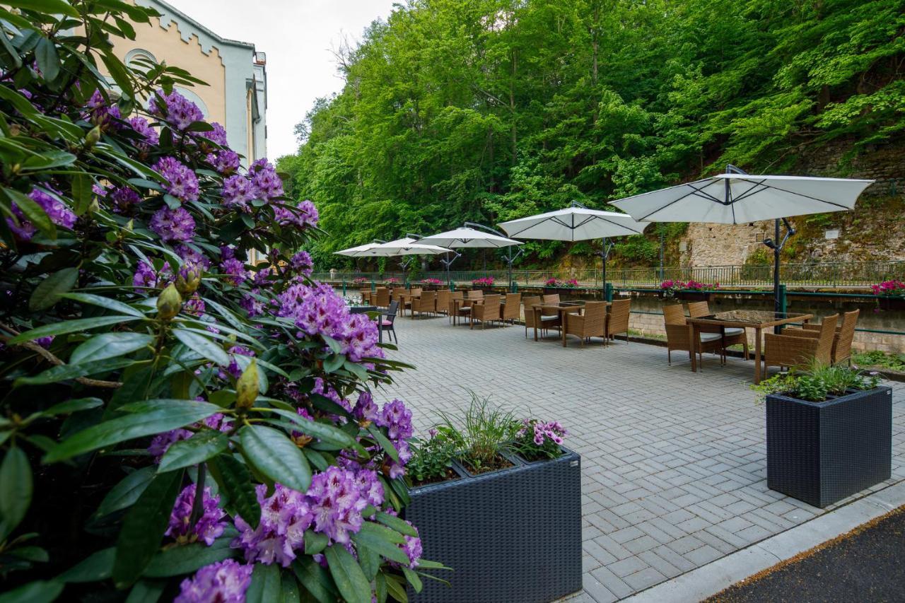 Villa Basileia Riverside Karlovy Vary Ngoại thất bức ảnh
